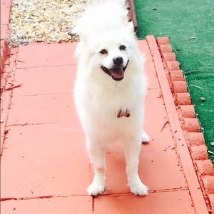 Meet your Posher, Leticia